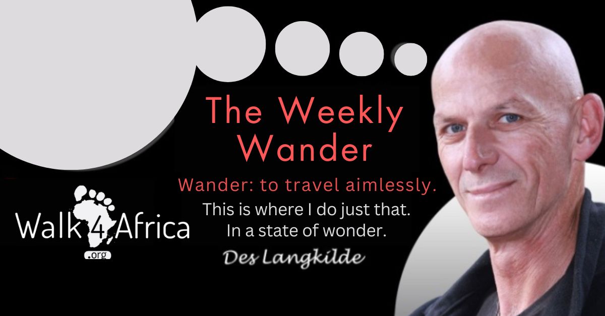 The Weekly Wander newsletter banner on LinkedIn